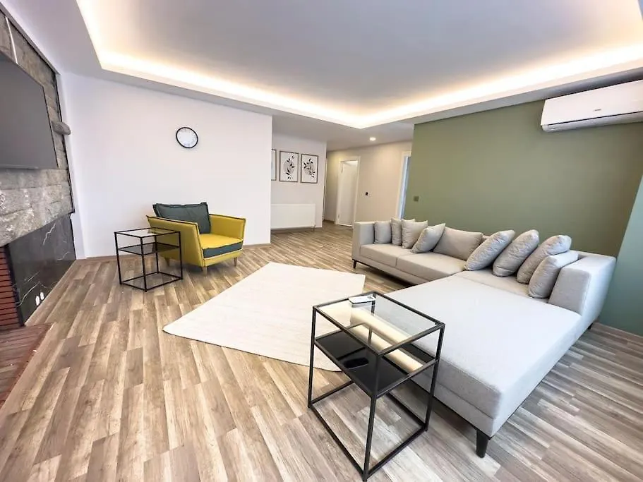 106-Large Appartement Ankara 0*,
